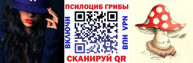 Галлюциногенные грибы прущие грибы  хочу наркоту  Ленск 